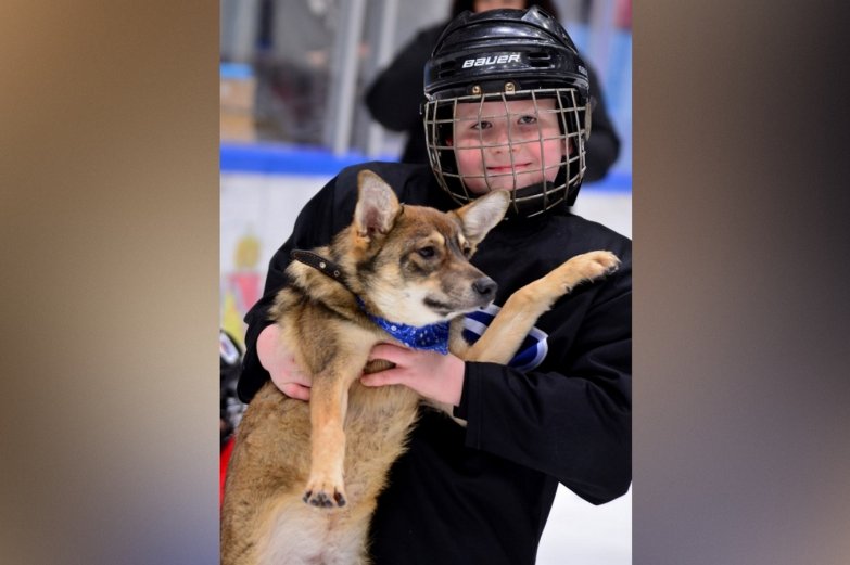 тренировка со щенками