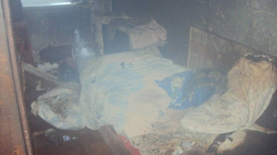 В Борисоглебске в горящем доме погибла хозяйка