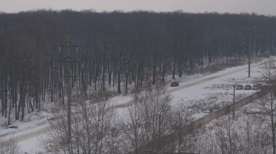 Мокрый снег в Воронеже продлится до пятницы