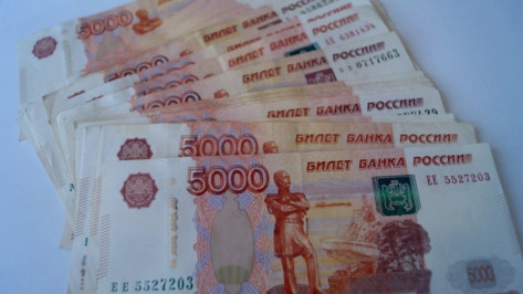 В Воронеже 20 подпольных банкиров попали под следствие