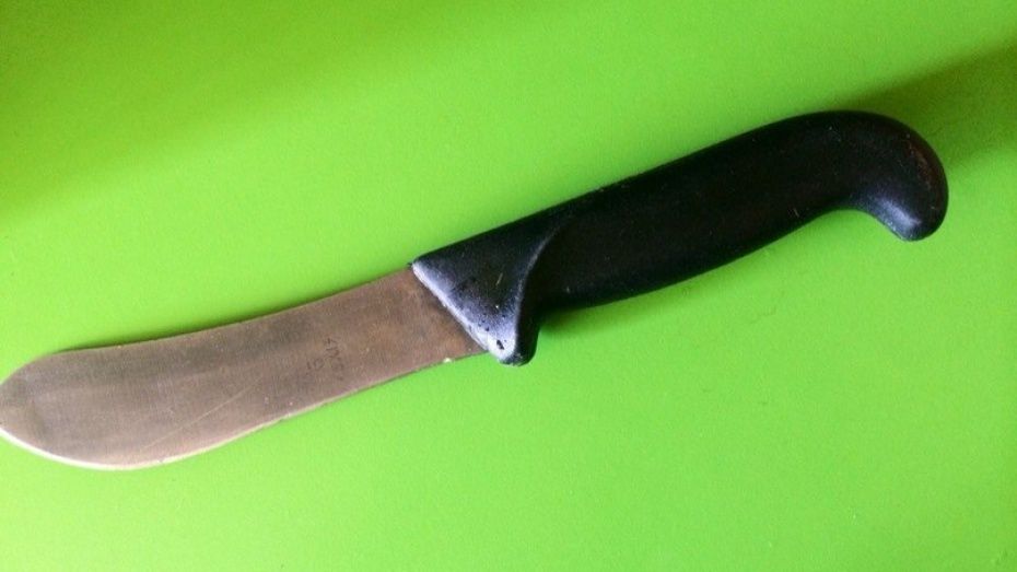 В Воронеже 35-летняя женщина зарезала нового знакомого 2 ножами