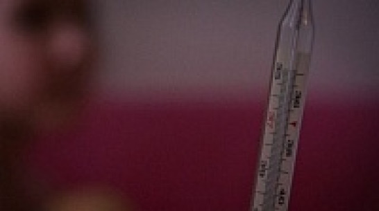 Более 6,5 тыс жителей Воронежской области заболели гриппом за неделю