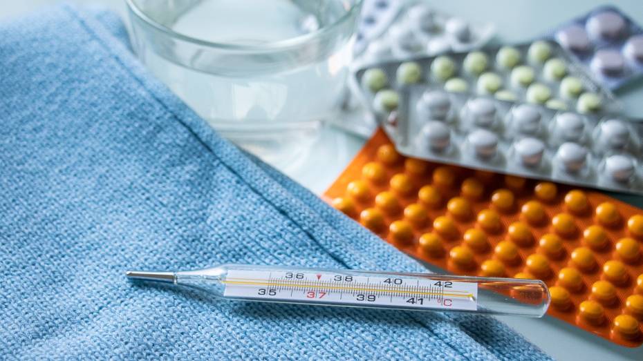 В Воронежской области за неделю ОРВИ заболели 9,6 тыс человек