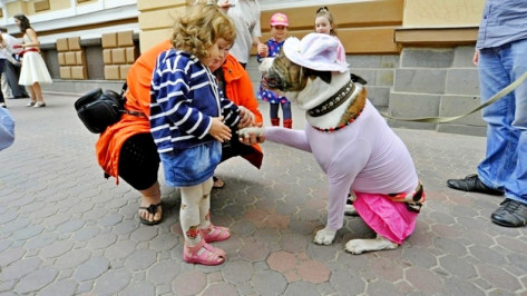 В Воронеже собаки продефилируют по подиуму в модных нарядах