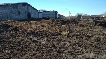 Фермер заплатит более 10,5 млн рублей за свалку навоза в воронежском селе Масловка