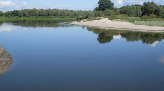 Жительница Воронежской области умерла во время купания в реке Дон