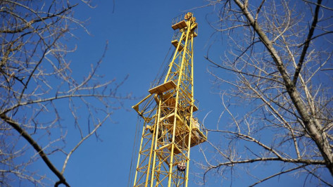 Строительство ритейл-парка «Воронеж» в Новоусманском районе обсудят на публичных слушаниях