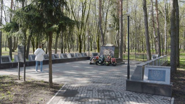 Воронежцев пригласили присоединиться к уборке братских захоронений