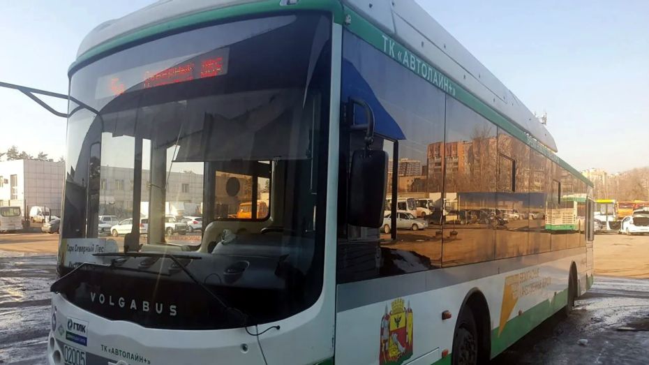 Воронежский перевозчик «Автолайн+» начал продавать пассажирские автобусы