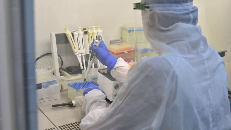 Число выздоровевших от коронавируса воронежцев достигло 45,2 тыс человек