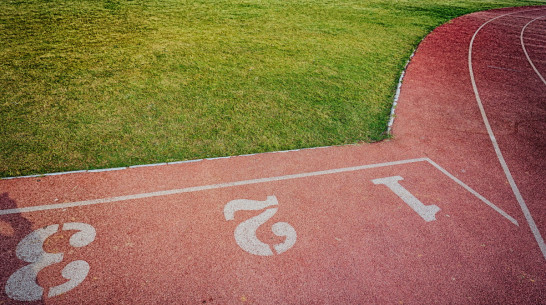 Департамент образования поздравил воронежских ребят с успехом в «Президентских состязаниях»