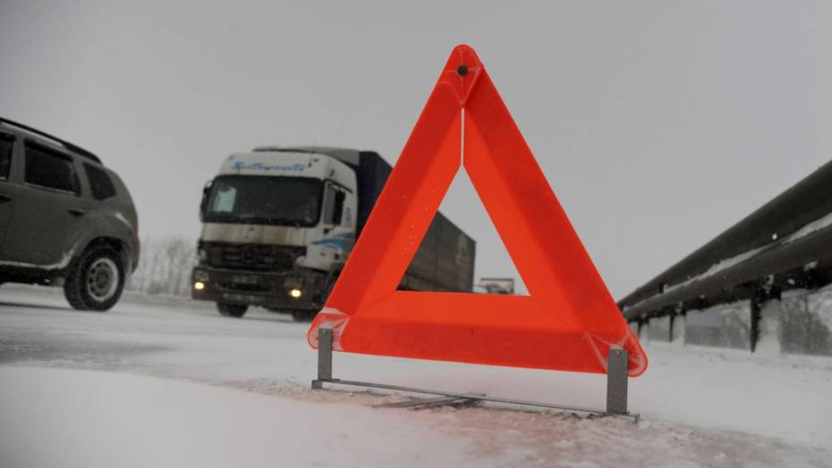 В Воронежской области в ДТП с грузовиком на трассе погиб автомобилист