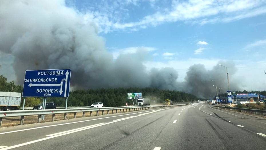 В Воронежской области мощный ландшафтный пожар подобрался к поселку