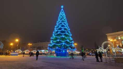 Губернатор назвал главную елку Воронежа одной из лучших в стране