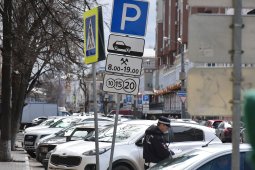Воронежцы оплатили лишь половину из 106 млн штрафов за парковку
