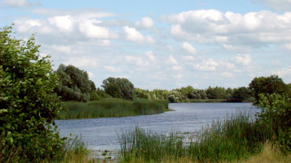 Накануне подъема тела женщины из реки под Воронежем родные заявили о ее пропаже