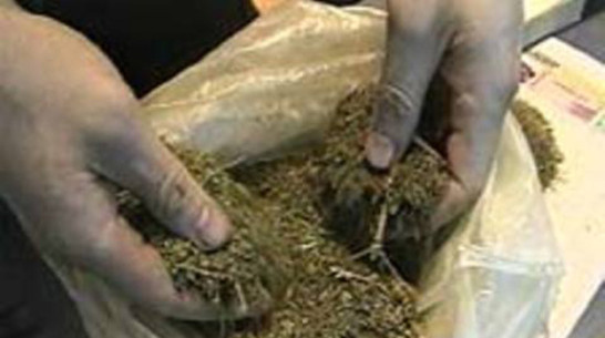 У 50-летнего жителя Кантемировского района изъяли более 2 килограммов марихуаны
