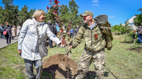 В Лисках Воронежской области в День Победы высадили аллею из 20 деревьев