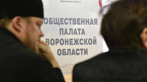 Воронежские депутаты Госдумы отчитаются перед Общественной палатой в прямом эфире