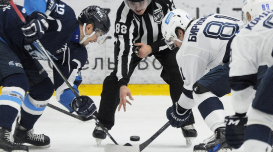 «Все довольны»: как сотрудничают воронежский «Буран» и московское «Динамо»