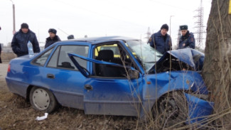 В Воронеже «Нексия» врезалась в дерево