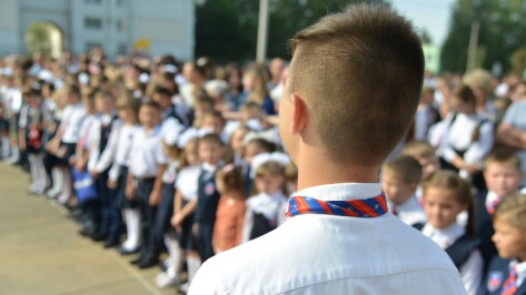 Власти опровергли слухи о дистанционном обучении в Воронеже с 1 сентября