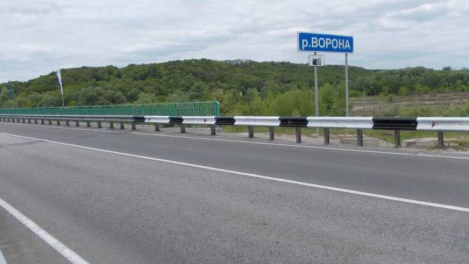В Воронежской области на 2 месяца ограничили движение по мосту через реку Ворона
