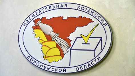 Какие госСМИ могут участвовать в предвыборной агитации в Воронежской области