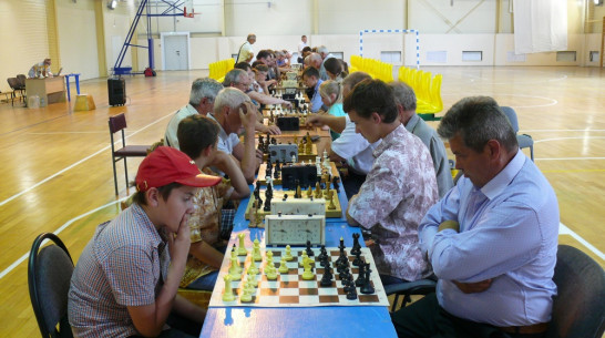 Каменские шахматисты проведут турнир в День народного единства