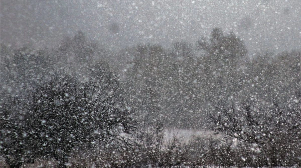 Возможна метель. Мокрый снег. Воронеж снегопад декабрь 2024. Текстура растаявшего снега. Когда закончится снег.