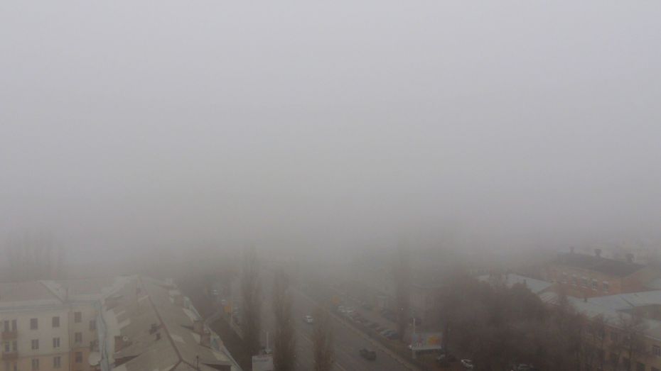 В Воронежской области объявили желтый уровень погодной опасности из-за тумана 