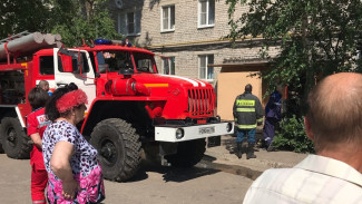 В Воронеже при пожаре в квартире погибли 71-летний инвалид и его собака