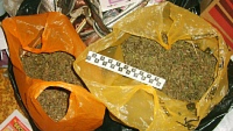 В Новохоперском районе поймали сбытчиков марихуаны