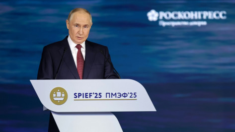 Президент Владимир Путин отметил высокую позицию Воронежской области в рейтинге инвестклимата