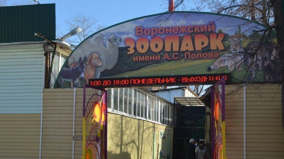 Горожане выберут фирменный стиль Воронежского зоопарка