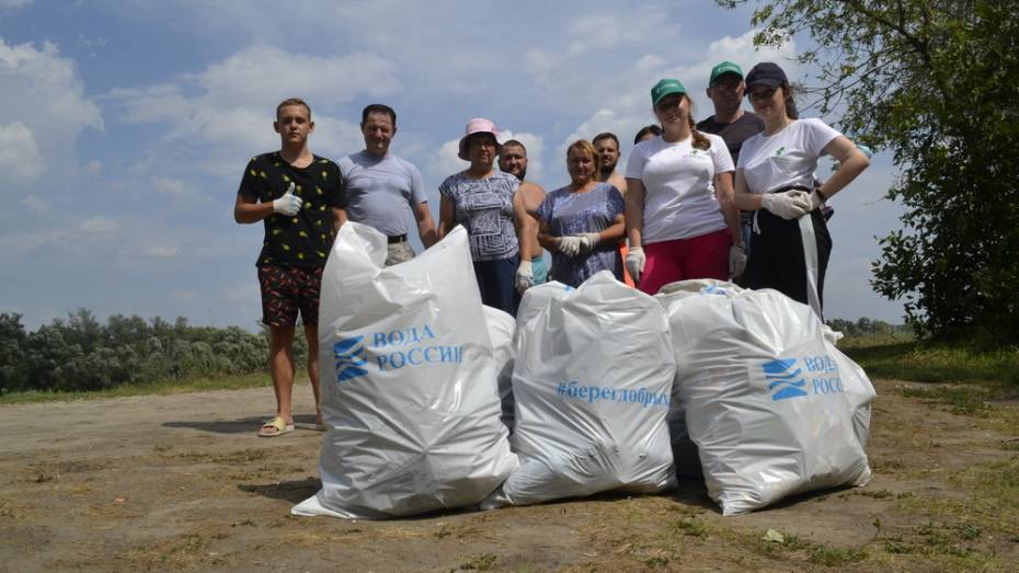 Верхнемамонские активисты очистили от мусора берег Дона