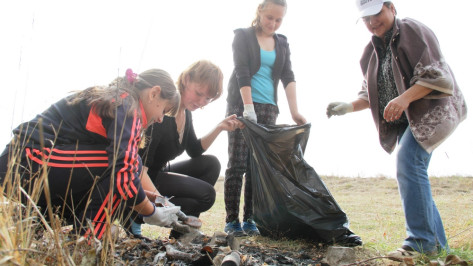 В Аннинском районе журналисты и школьники очистили берег Битюга
