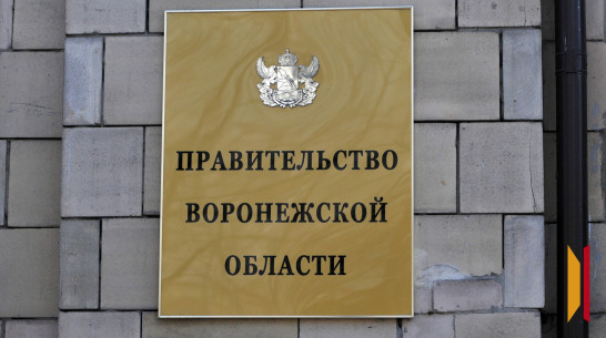 Делегация Воронежской области посетит Венгрию с политической миссией