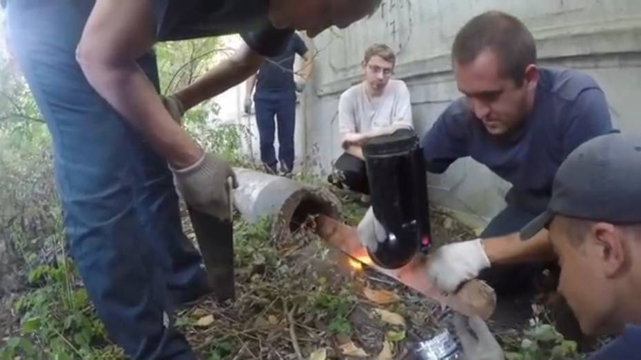 В Воронеже спасатели освободили застрявшего в бетонном столбе котенка