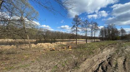 Участки площадью 9,5 га возле реки Воронеж вернут из незаконного владения