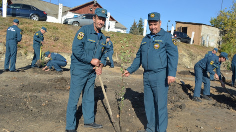 Воробьевские пожарные посадили фруктовый сад на въезде в село