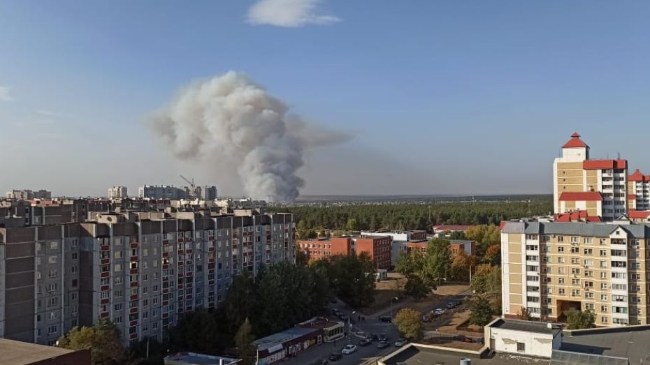 Больше 40 пожаров одновременно бушуют в Воронежской области