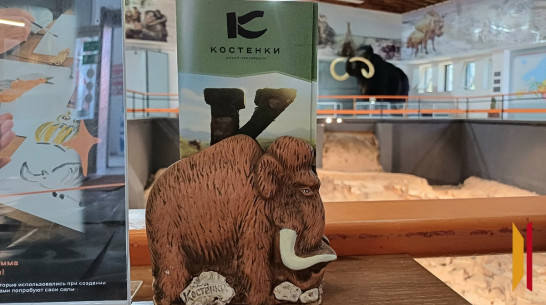 Воронежцев пригласили на праздник «Летний день в Костенках»