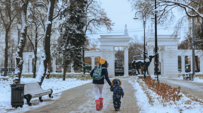 Родителям почти 30 тыс детей в Воронежской области назначили единое семейное пособие