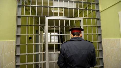 Инкассатор получил тюремный срок за ДТП с погибшим адвокатом из Нововоронежа