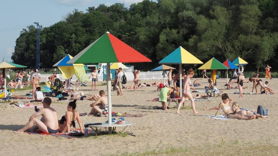 Первые выходные июля в Воронеже будут солнечными и жаркими