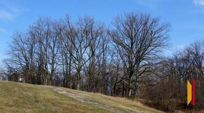 Воронежцев ждут теплые и сухие выходные