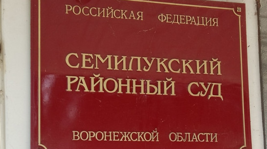 Житель Семилукского района получил год тюрьмы за ограбление магазина