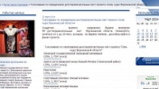 Участников конкурса «Семь чудес Воронежской области» заподозрили в накрутке голосов