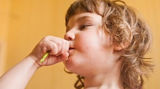 В Воронеже прокуроры через суд закроют вегетарианский эко-детсад «Индиго» 